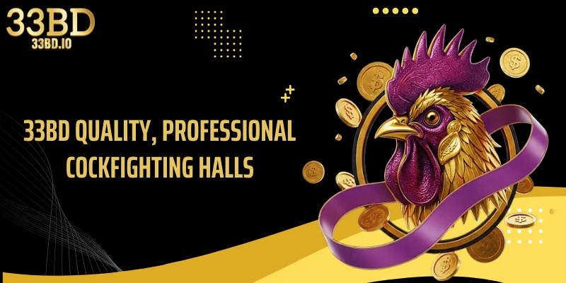 33BD quality, professional cockfighting halls
